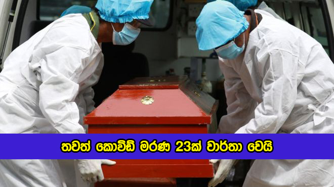 Covid Deaths in Sri Lanka Yesterday - තවත් කොවිඩ් මරණ 23ක් වාර්තා වෙයි