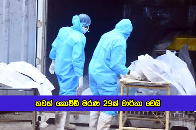 Covid Deaths in Sri Lanka Yesterday - තවත් කොවිඩ් මරණ 29ක් වාර්තා වෙයි