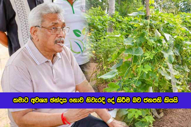 Prasident Gotabaya Rajapaksa Statement of Fertilizer - තමාට අවශ්‍ය ඡන්දය නොව නිවැරදි දේ කිරීම බව ජනපති කියයි