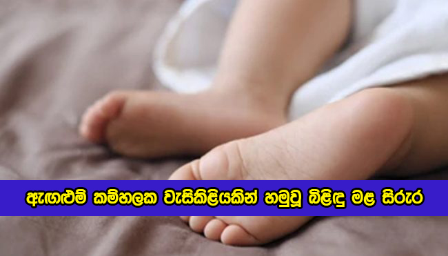 Baby Death Body in Pudaluoya - ඇඟළුම් කම්හලක වැසිකිළියකින් හමුවූ බිළිඳු මළ සිරුර