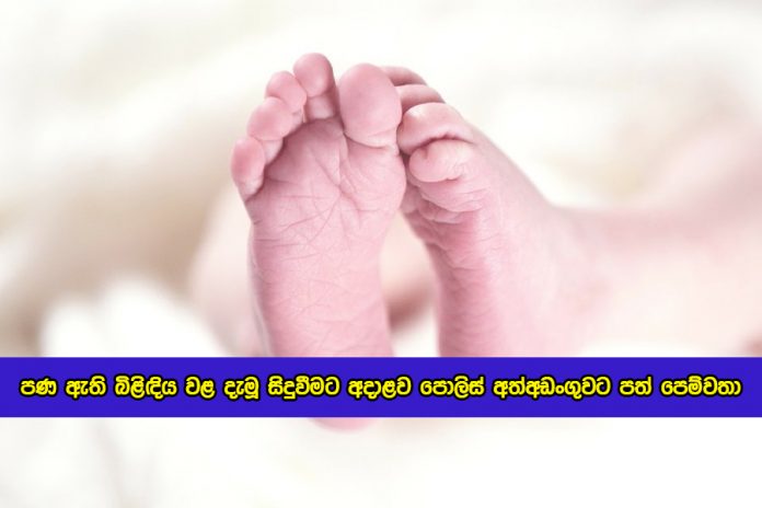 Jaffna Madduvil Baby Incident - පණ ඇති බිළිඳිය වළ දැමූ සිදුවීමට අදාළව පොලිස් අත්අඩංගුවට පත් පෙම්වතා
