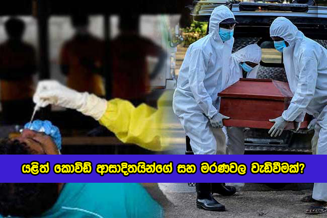 Covid New Cases and Deaths in Sri Lanka Nowdays - යළිත් කොවිඩ් ආසාදිතයින්ගේ සහ මරණවල වැඩිවීමක්?