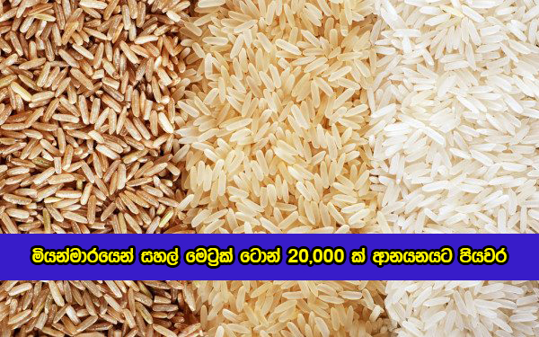 Cabinet Approval to Import Rice from Myanmar - මියන්මාරයෙන් සහල් මෙට්‍රික් ටොන් 20,000 ක් ආනයනයට පියවර