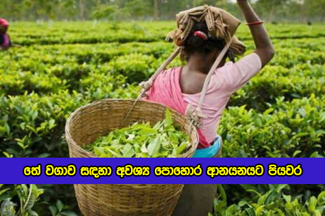 Ramesh Pathirana Statement of Fertilizer for Tea Indrustry - තේ වගාව සඳහා අවශ්‍ය පොහොර ආනයනයට පියවර
