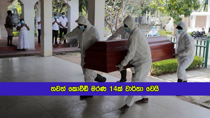 Covid Deaths in Sri Lanka Yesterday - තවත් කොවිඩ් මරණ 14ක් වාර්තා වෙයි