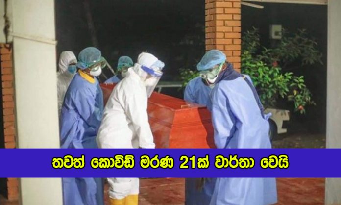 Covid Deaths in Sri Lanka Yesterday - තවත් කොවිඩ් මරණ 21ක් වාර්තා වෙයි