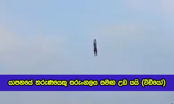 Boy in Jaffna Goes Up with a Kite - යාපනයේ තරුණයෙකු සරුංගලය සමඟ උඩ යයි (වීඩියෝ)