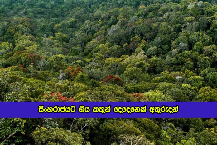 Two Women Missing in Sinharaja Forest - සිංහරාජයට ගිය කතුන් දෙදෙනෙක් අතුරුදන්