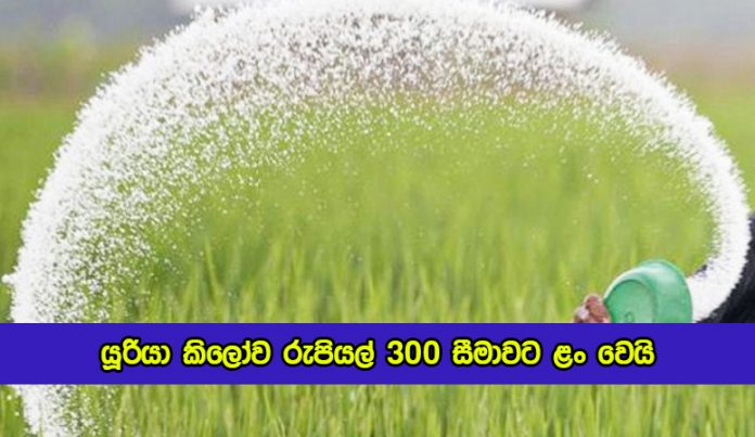 Urea Price in Sri Lankan Market - යූරියා කිලෝව රුපියල් 300 සීමාවට ළං වෙයි