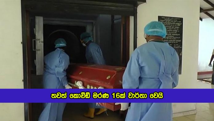 Covid deaths in Sri Lanka Yesterday - තවත් කොවිඩ් මරණ 16ක් වාර්තා වෙයි