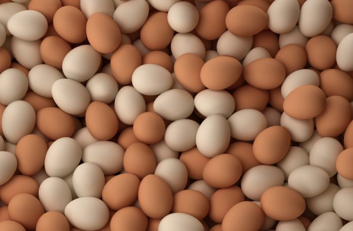 Maximum Eggs Prices - බිත්තර මිල අඩුකරමින් අතිවිශේෂ ගැසට් නිවේදනයක්