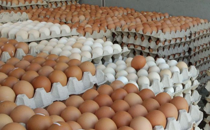 Eggs Prices - බිත්තර මිල රුපියල් 50න් පහළට බහින දවස ගැන ඉඟියක්