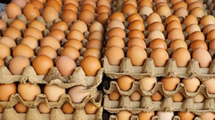 Egg Prices - කොළඹ හා ගම්පහ අද සිට අඩුවට බිත්තර දෙන ස්ථාන