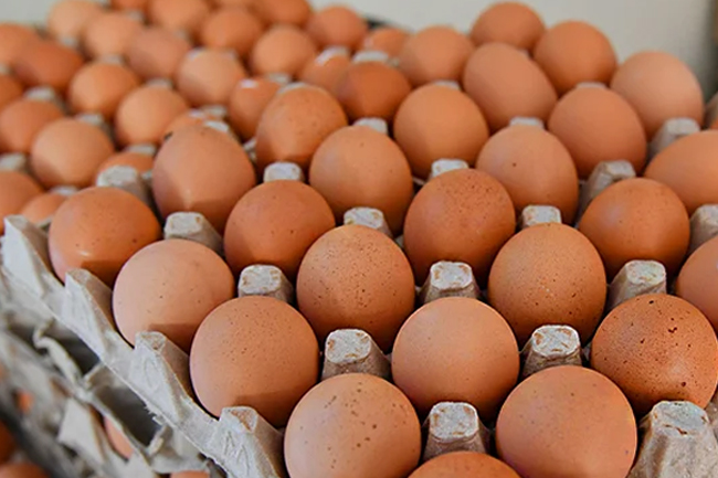 Eggs Prices - නව බිත්තර මිලට එකඟවිය නොහැකි බව නිෂ්පාදකයින් අධිකරණයට දන්වයි