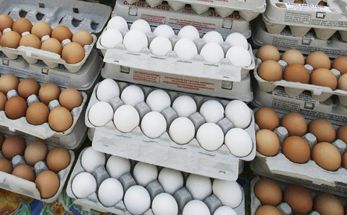 Egg Prices - මෙම මස අවසානයේ සිට බිත්තරයක් රුපියල් 55කට