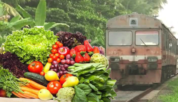Vegetable Transport - වසර 23කට පසු කොළඹට දුම්රියෙන් එළවළු ප්‍රවාහනය අරඹයි