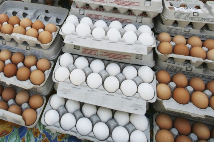 Egg Import - අනුමැතිය දුන්නොත් දින තුනක් ඇතුළත බිත්තර ආනයනය කළ හැකිය