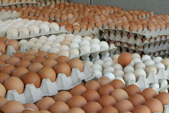 Egg Import - බිත්තර ආනයනයට අනුමැතිය නොදෙන අය ගැන ජනපති වාර්තාවක් ඉල්ලයි