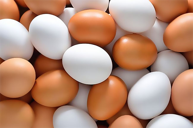 Egg Prices - බිත්තරයක තොග මිල රුපියල් 5කින් පහළට