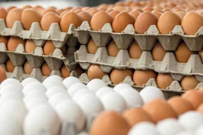Egg Prices - බිත්තර මිල පහළ දැමීමට නිෂ්පාදකයින් සැරසෙයි