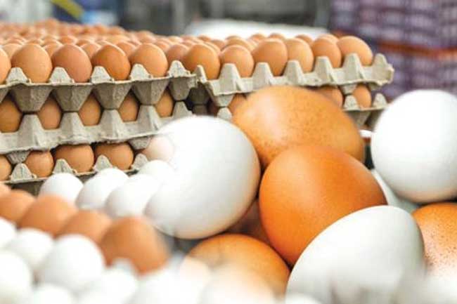 Egg Prices - ගැසට් කළ අලුත් ම බිත්තර මිල මෙන්න