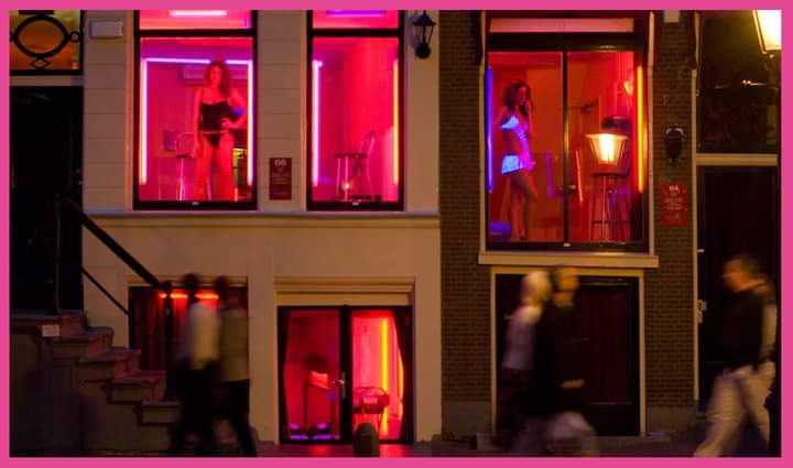 ජංගම ගණිකා නිවාසය