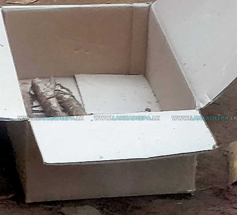 ඝාතනය ක සුලමුල 