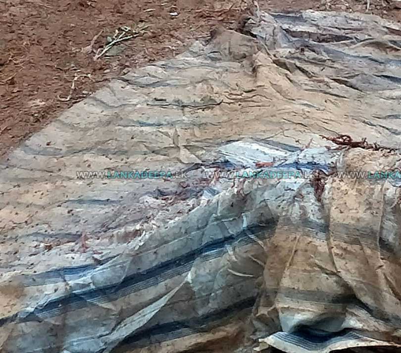 ඝාතනය ක සුලමුල 